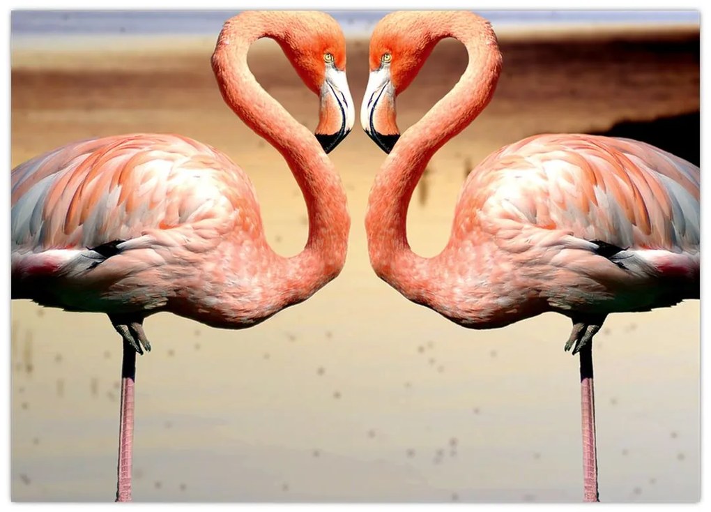Obraz na szkle - dwa flamingi (70x50 cm)