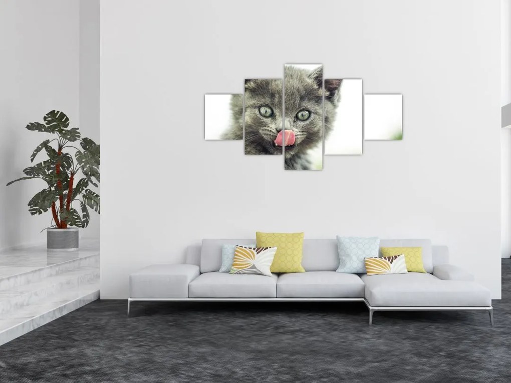 Obraz oblizującego się kotka (125x70 cm)