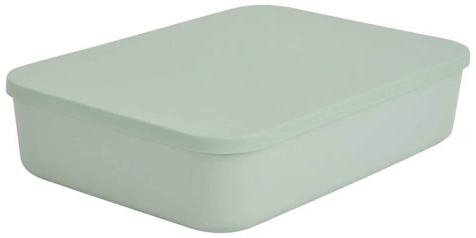 Jasnozielony plastikowy pojemnik z pokrywką 35,5x25,5x8 cm – Homéa
