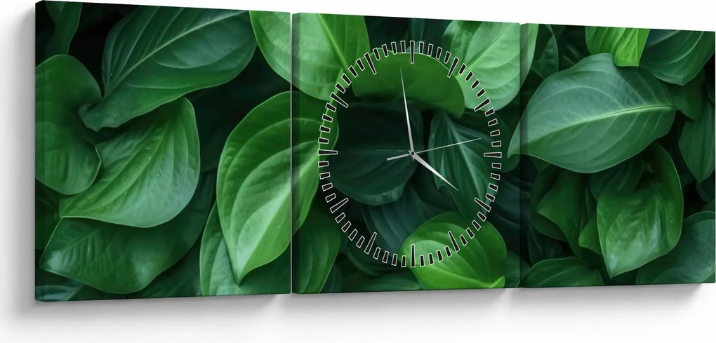 Obraz - Zielone liście (z zegarem) (90x30 cm)