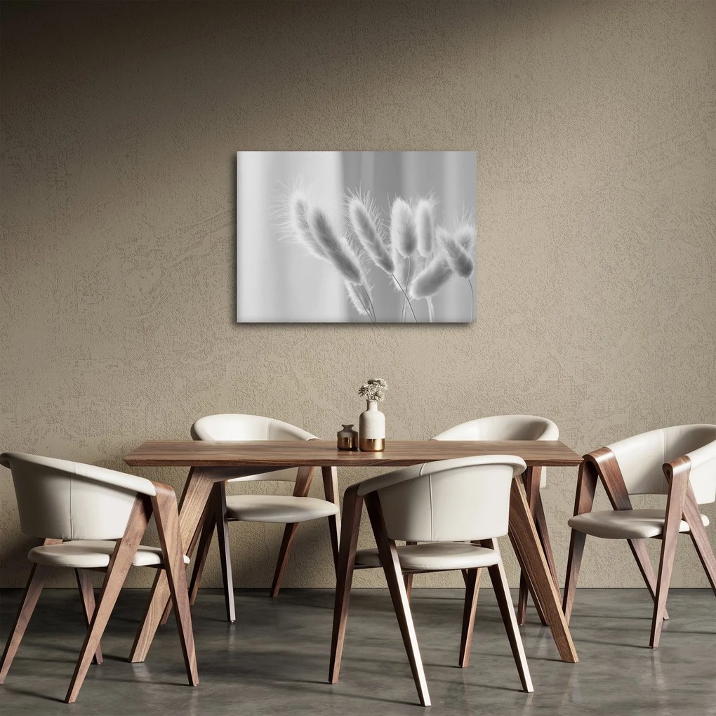 Obraz - Trawa z króliczym ogonkiem (70x50 cm)