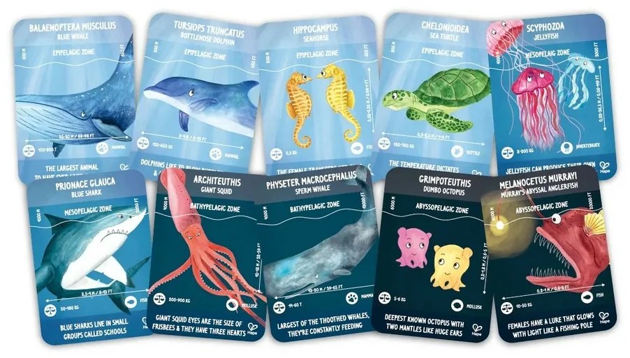 Hape Puzzle - Życie w oceanie, długość 1,5 m