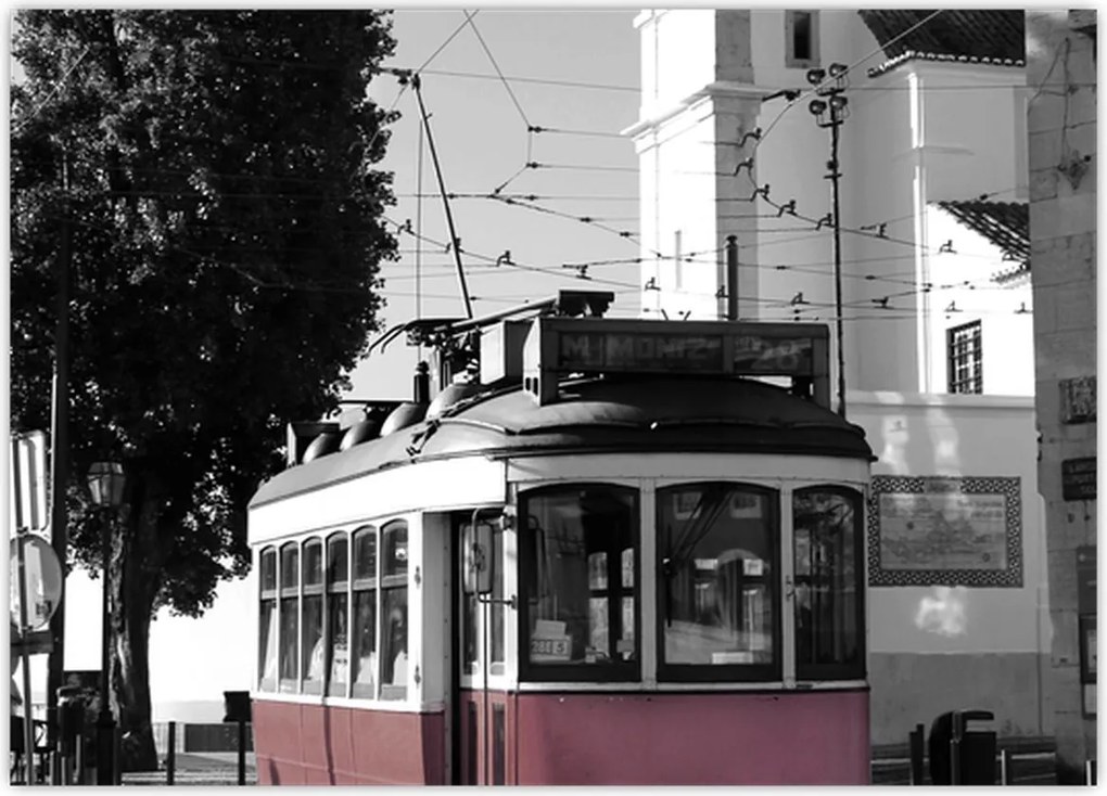 Obraz na szkle - Tramwaj (70x50 cm)