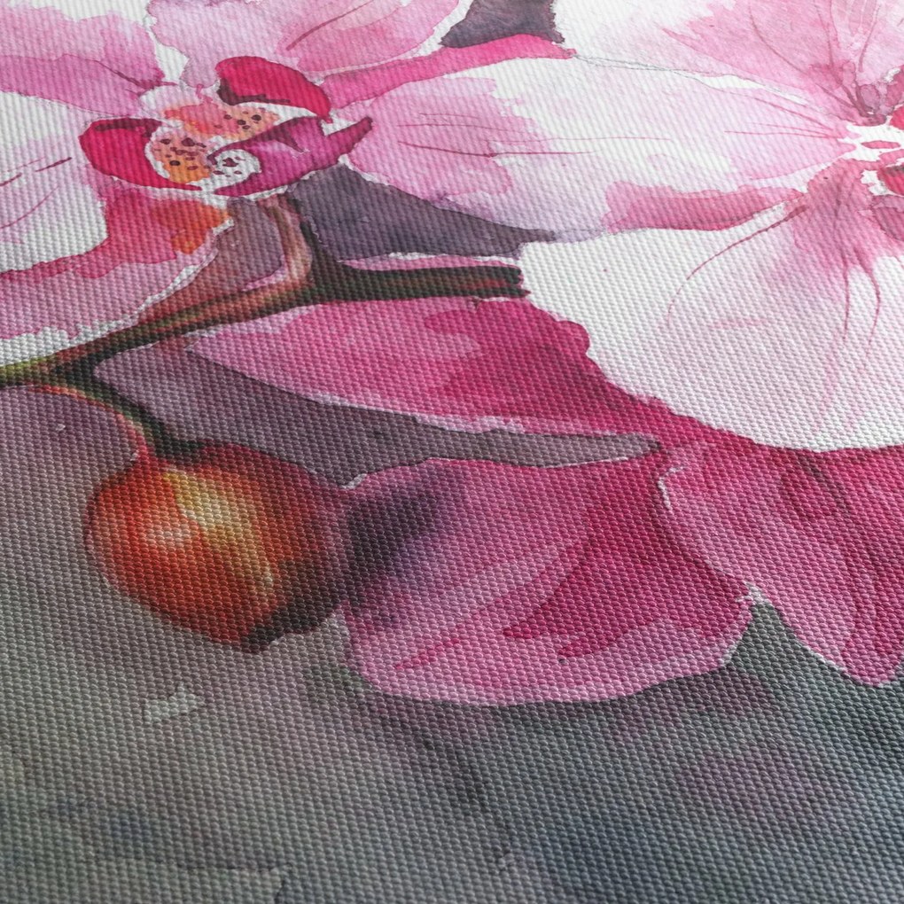 Obraz - Orchidee, akwarela (70x50 cm)