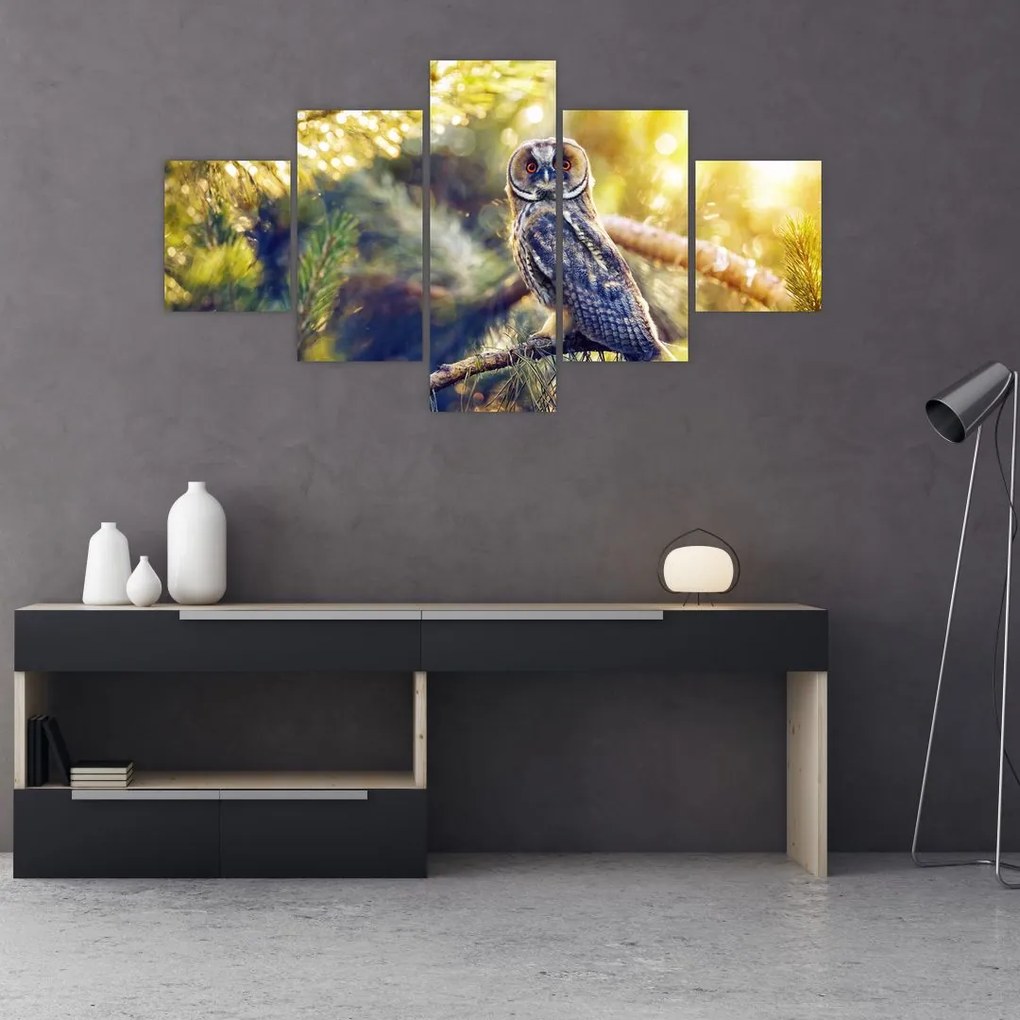 Obraz sowy na drzewie (125x70 cm)