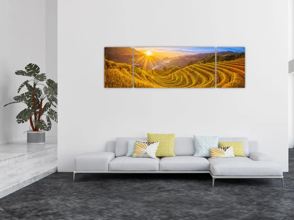 Obraz - Pole ryżowe w Wietnamie (170x50 cm)