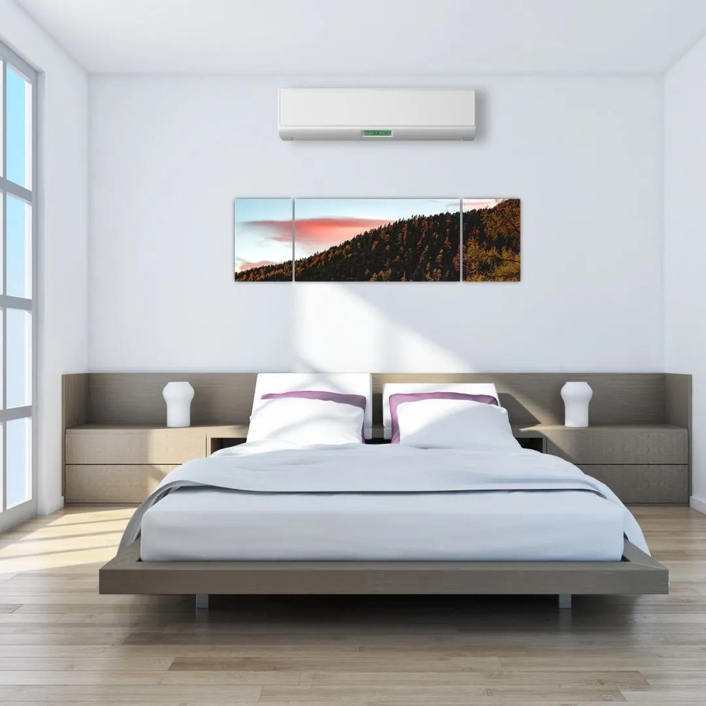 Obraz rudzików nad wzgórzem (170x50 cm)