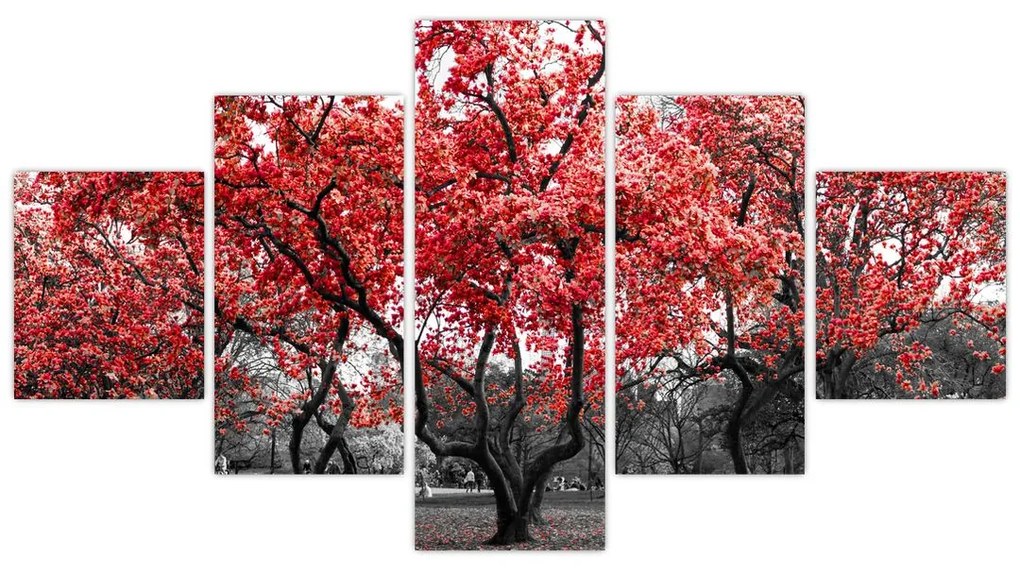 Obraz - Czerwone drzewa, Central Park, New York (125x70 cm)
