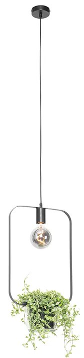 Nowoczesna lampa wisząca czarna ze szklanym prostokątem - Roslini Nowoczesny Oswietlenie wewnetrzne