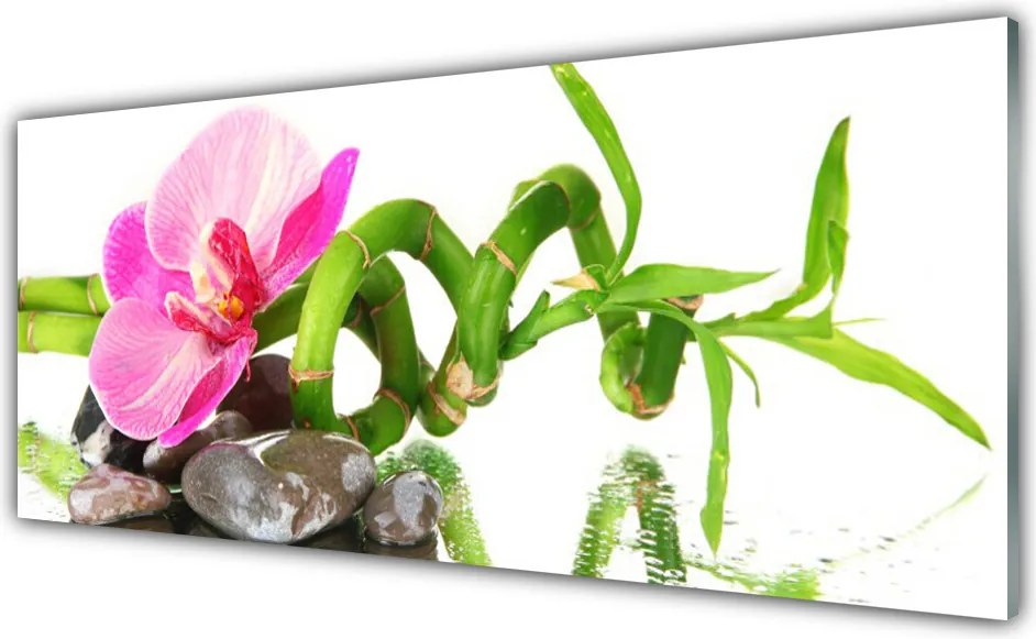 Szkło do Kuchni na Ścianę Subtelny Rozkwit Natury