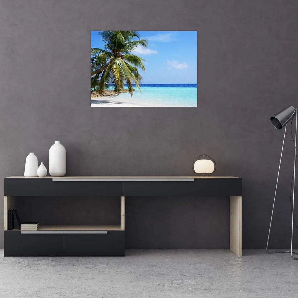 Obraz palmy na plaży (70x50 cm)
