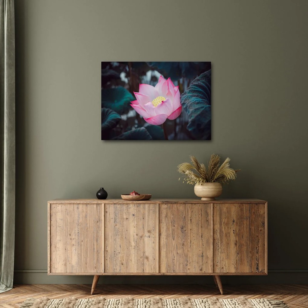 Obraz różowego kwiatu (70x50 cm)