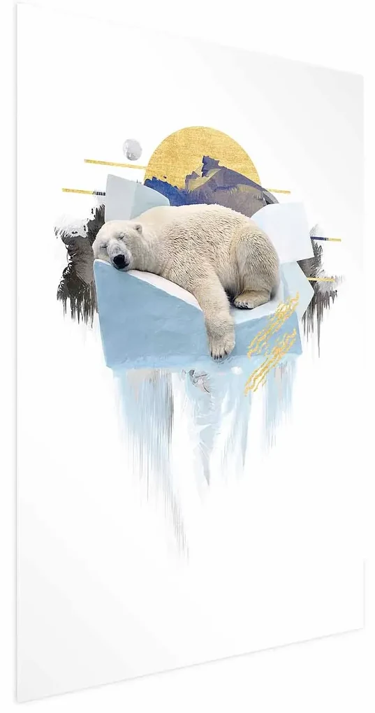 Plakat Niedźwiedź polarny 60x90 cm bez ramy bez marginesu ARTGEIST B
