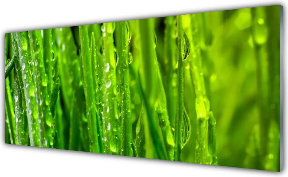 Szkło do Kuchni na Ścianę Naturalna Tekstura Zielonej Trawy