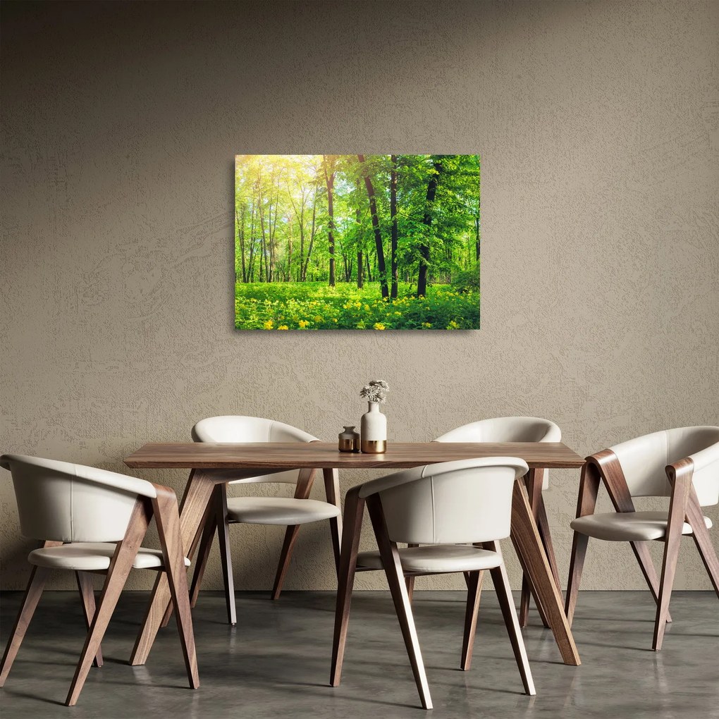 Obraz na szkle - Wiosenny las liściasty (70x50 cm)