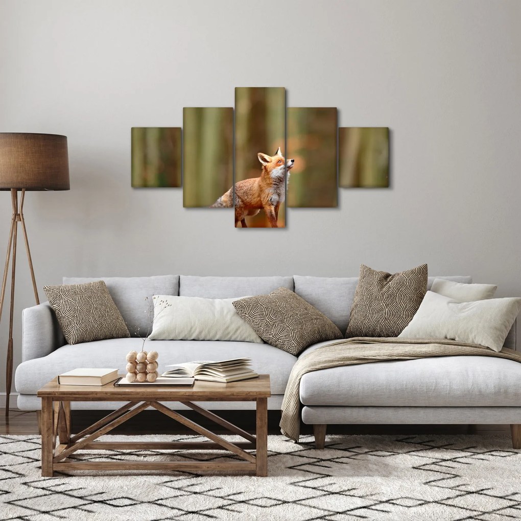 Obraz - Lis (125x70 cm)