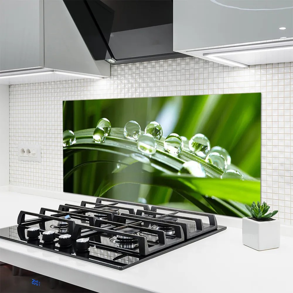 Panel Szklany do Kuchni Krople Rosy na Źdźbłach