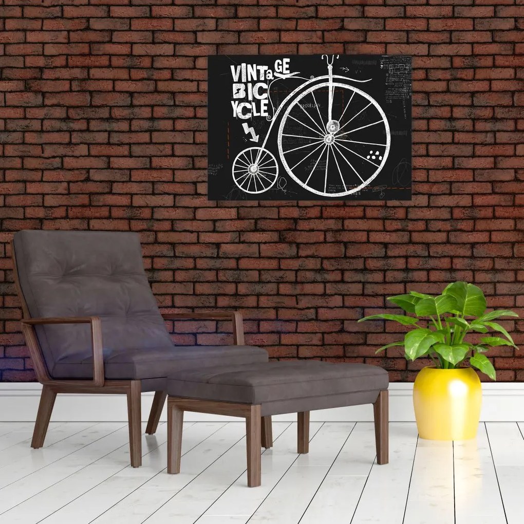 Obraz - Welocyped (70x50 cm)