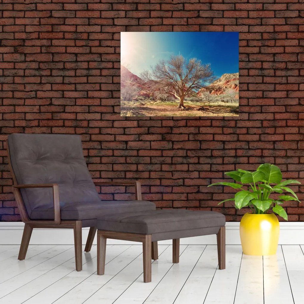 Obraz drzewa na pustyni (70x50 cm)