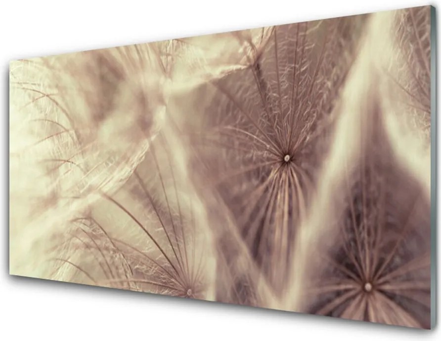 Szkło do Kuchni na Ścianę Złocisty Mniszek w Polu