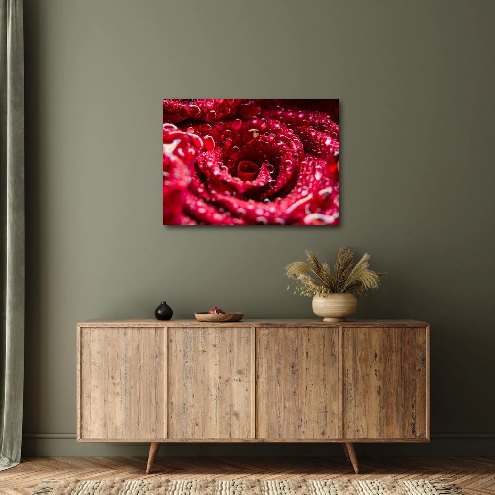 Obraz czerwonego kwiatu róży (70x50 cm)
