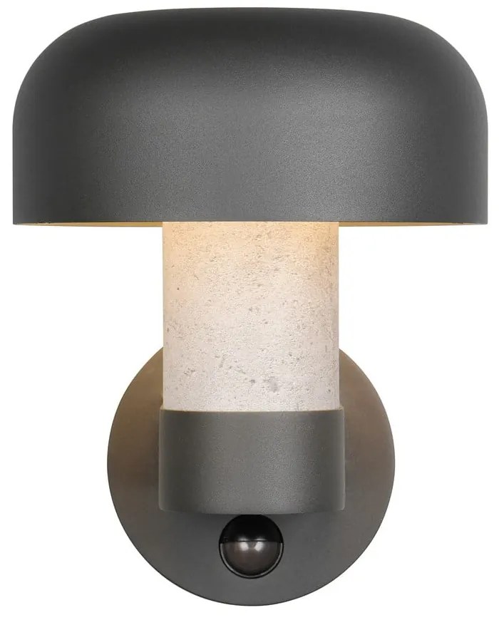 Zewnętrzna lampa ścienna (wysokość 24,5 cm) Fraser – Trio