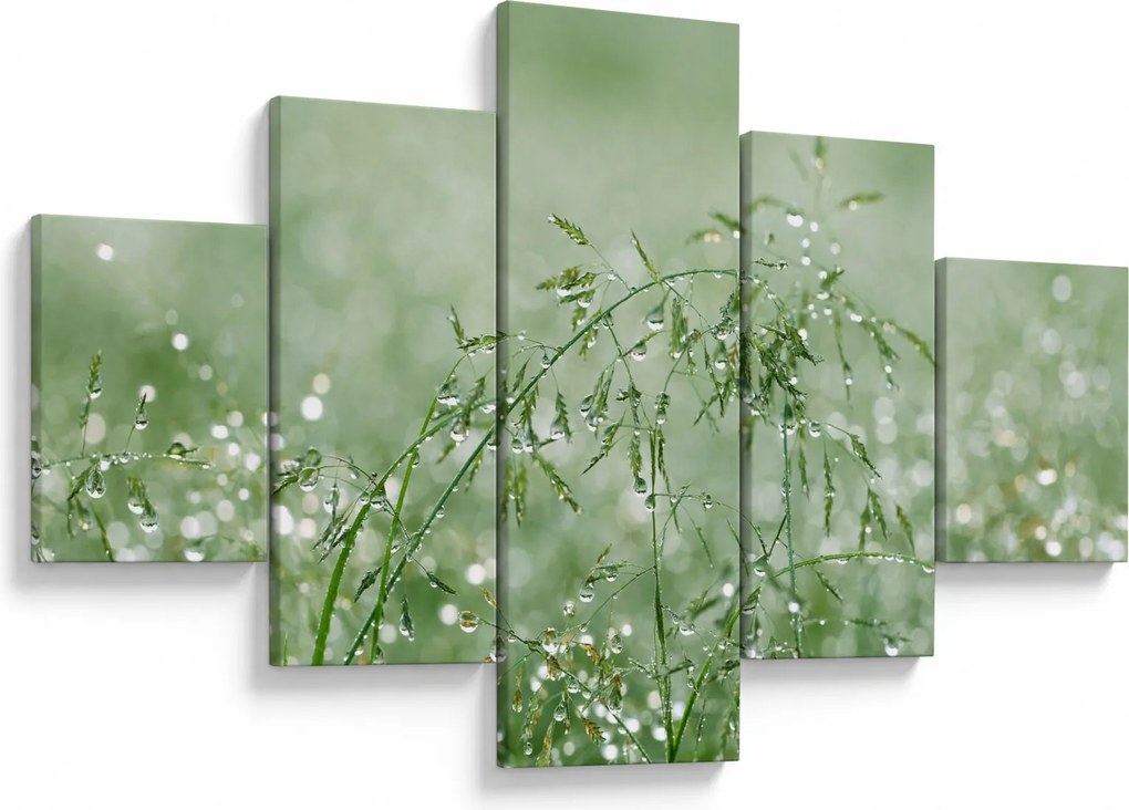 Obraz - Poranna rosa na źdźbłach trawy (125x70 cm)