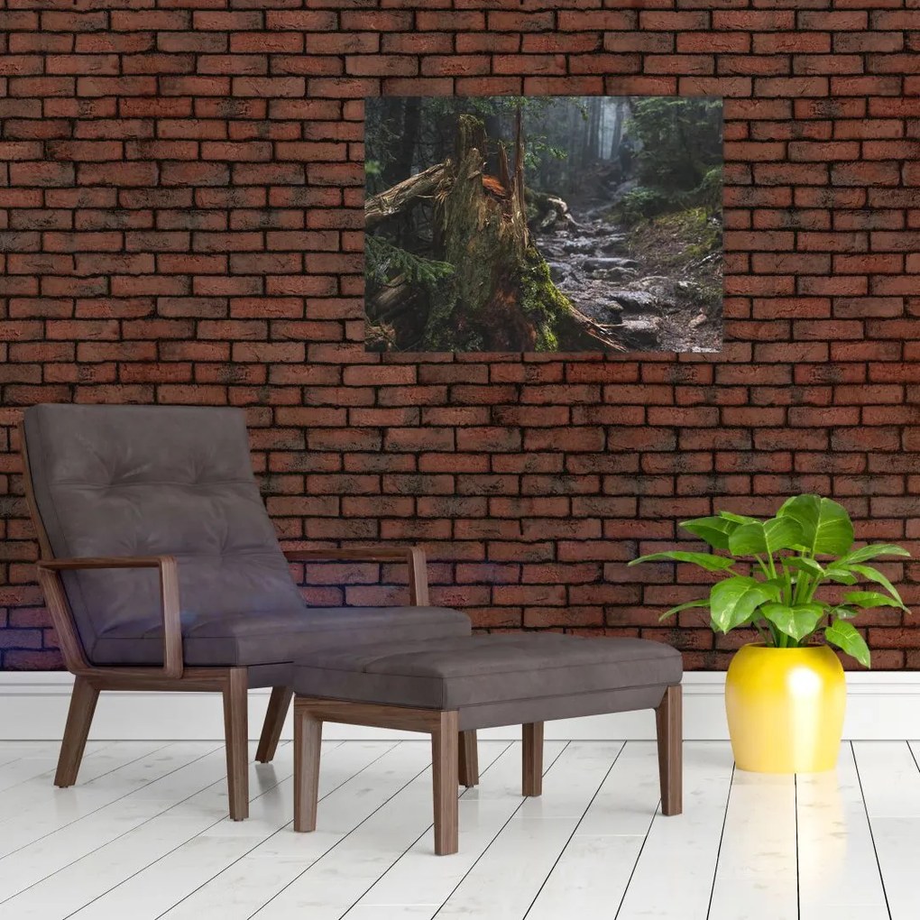 Obraz na szkle - W lesie (70x50 cm)