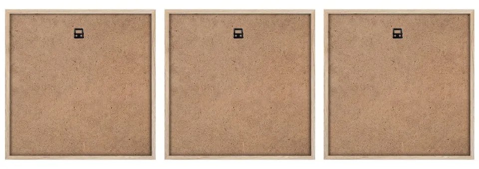 Obrazy zestaw 3 szt. 30x30 cm Pampas – Styler