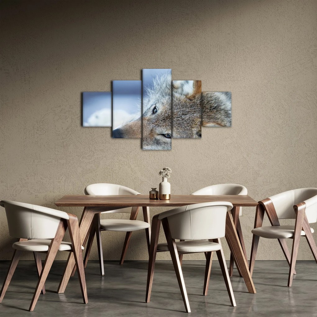 Obraz - Wilk (125x70 cm)