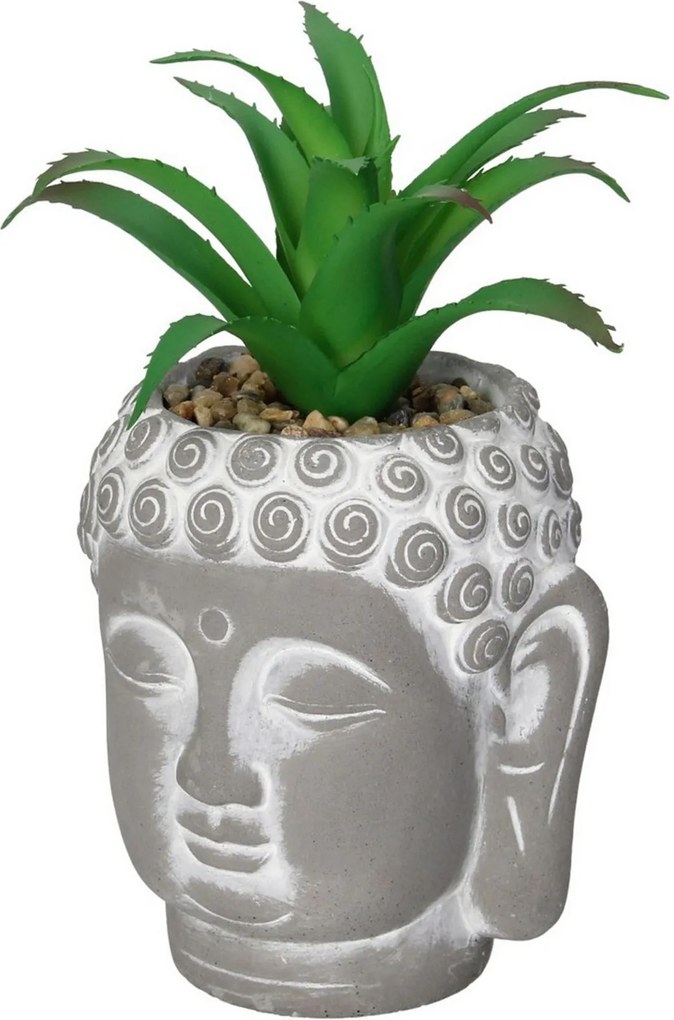 Dekoracja Aloe Buddha 17cm