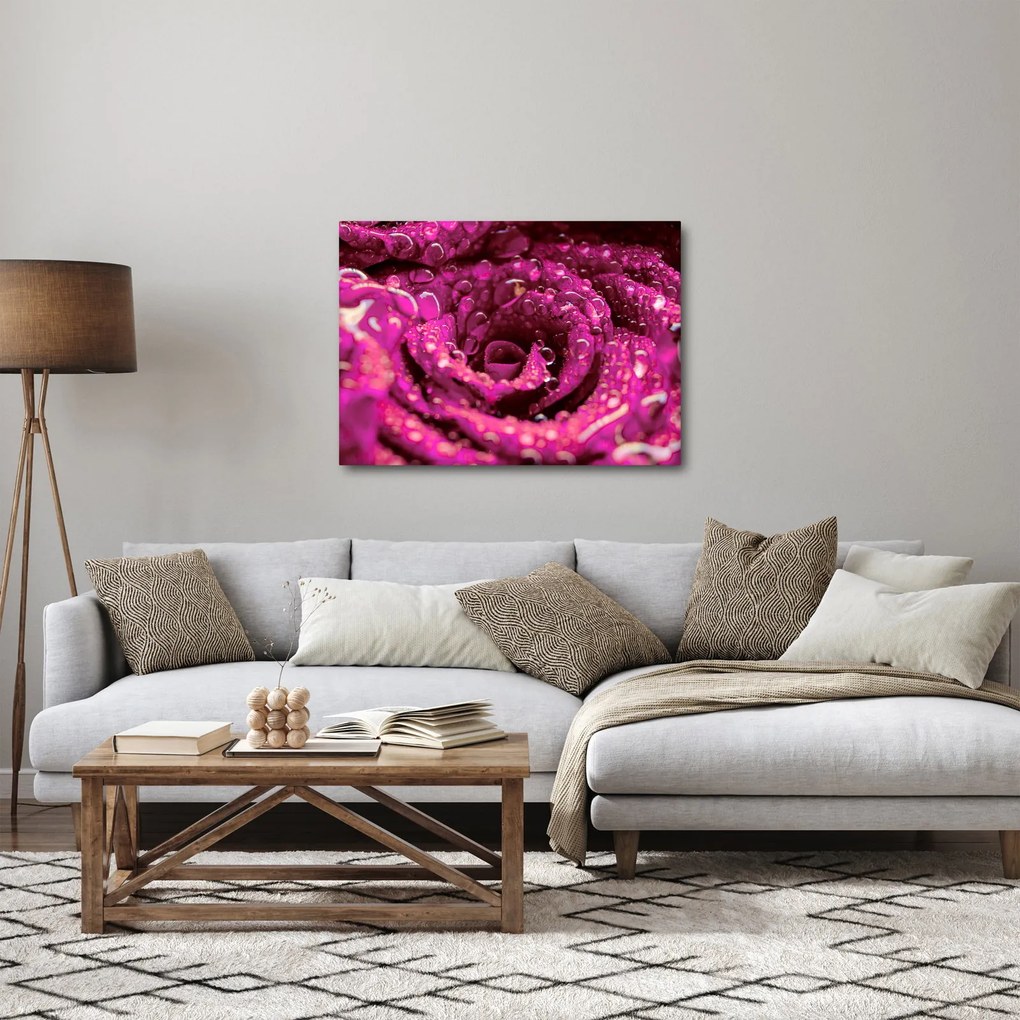 Obraz różowego kwiatu róży (70x50 cm)
