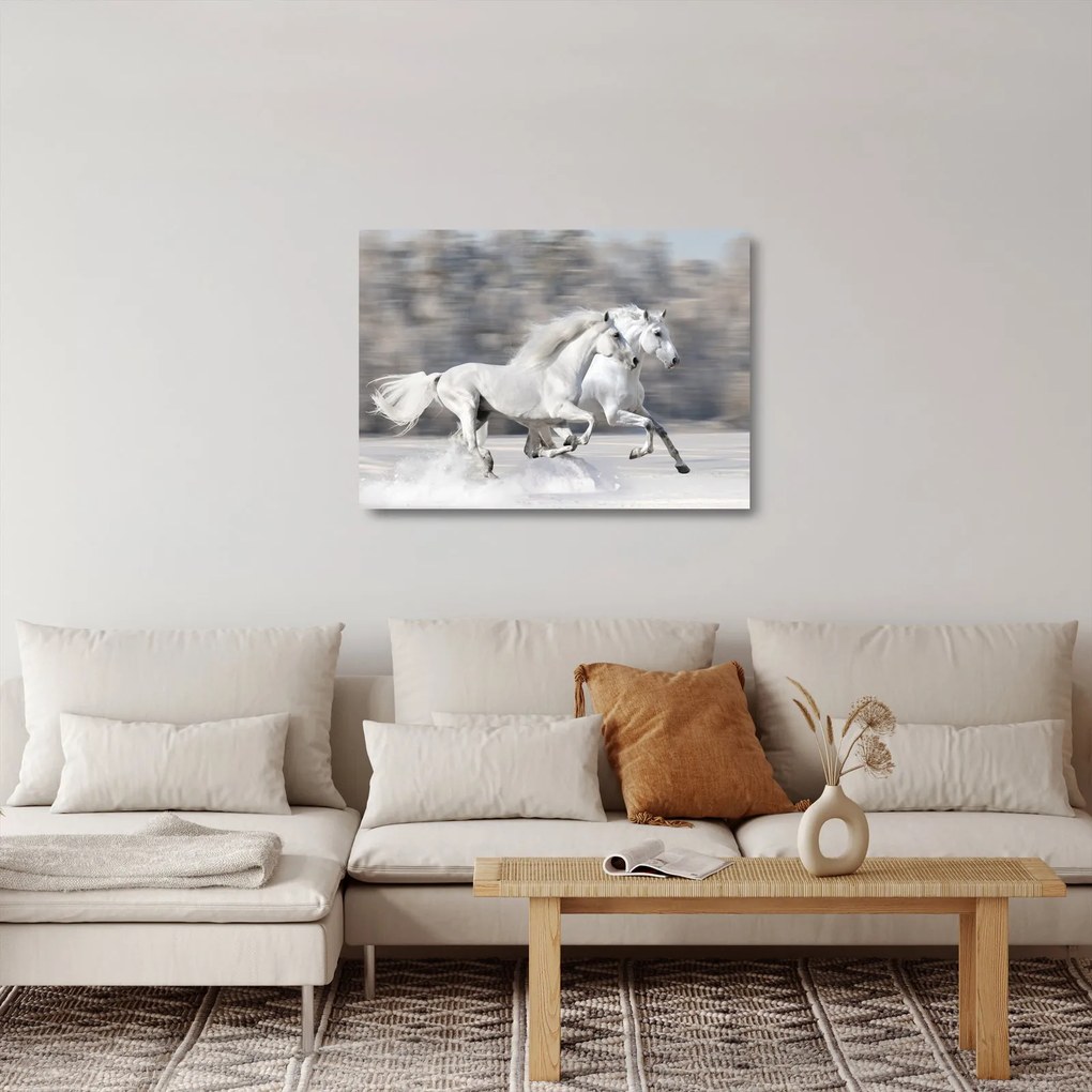 Obraz na szkle - Białe konie zimą (70x50 cm)