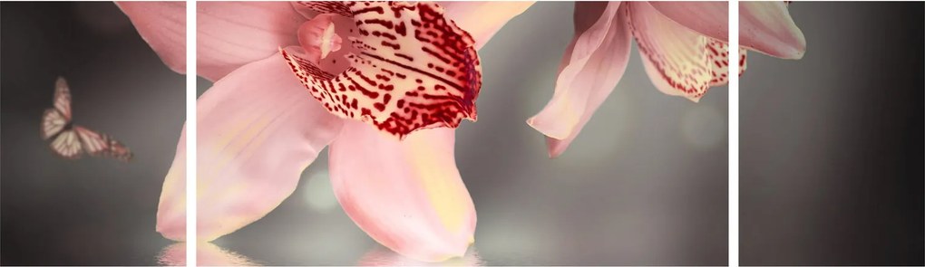 Obraz - Kwiaty i motyl (170x50 cm)