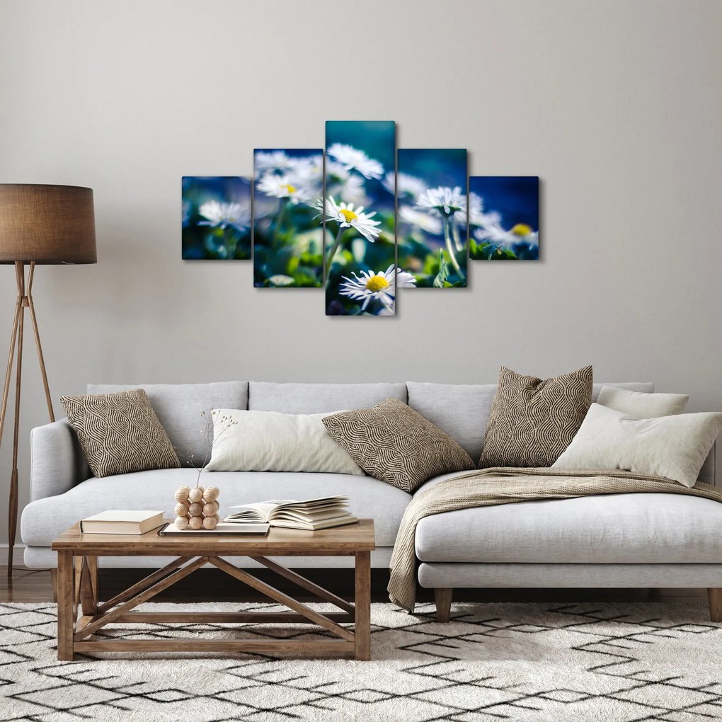 Obraz stokrotek (125x70 cm)