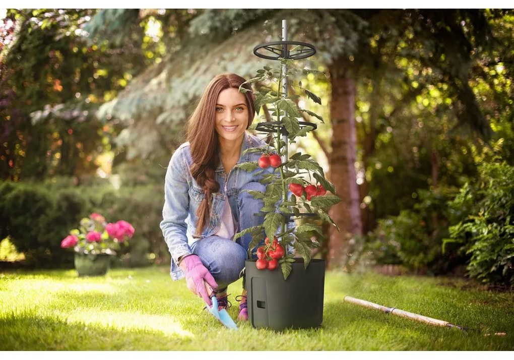Gardenico Pojemnik do uprawy pomidorów antracyt, śr. 29 cm, S