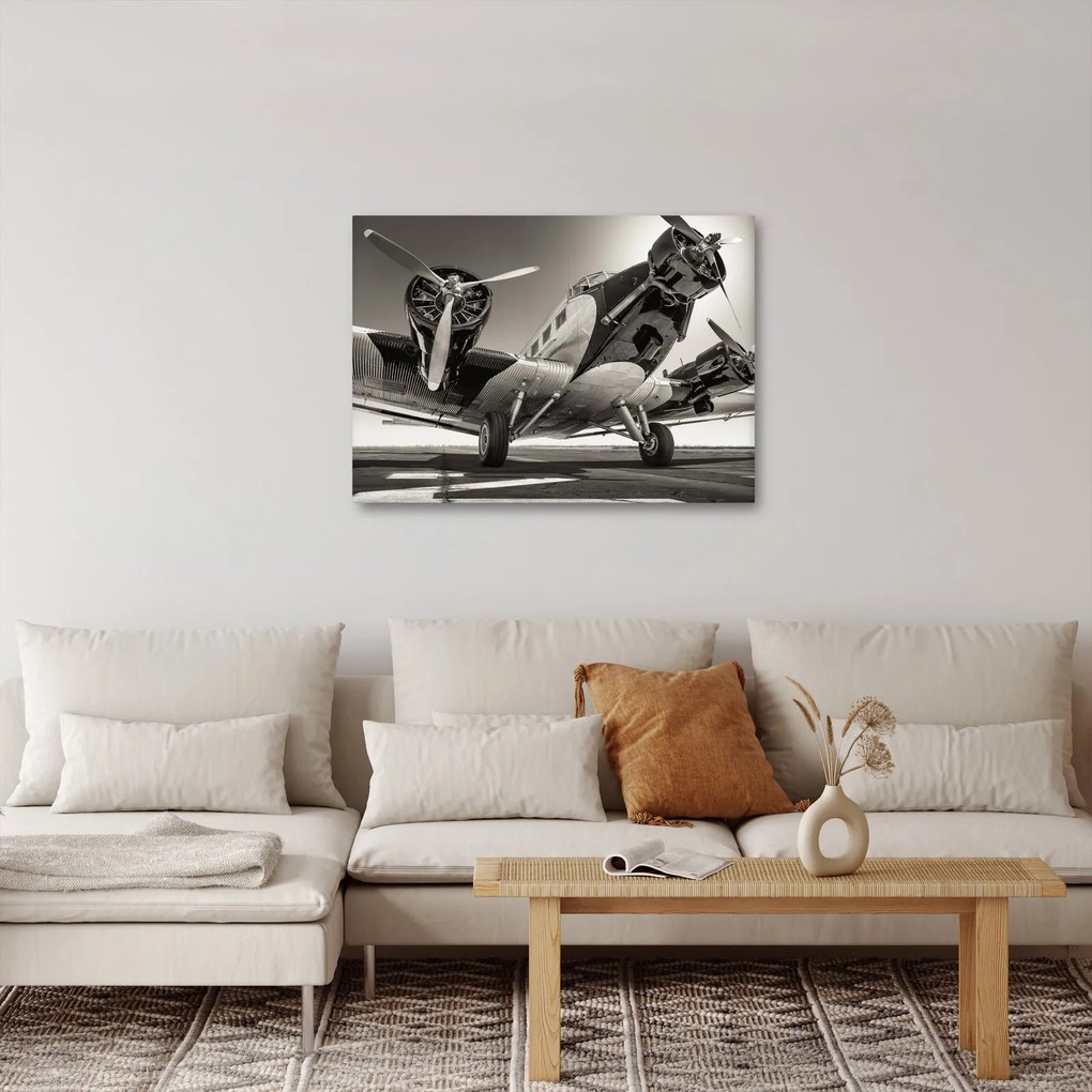 Obraz - Historyczne samoloty (70x50 cm)