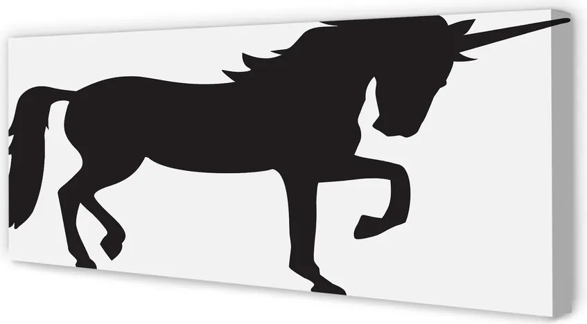 Obraz drukowany na płótnie Mistyczny Czarny Jednorożec