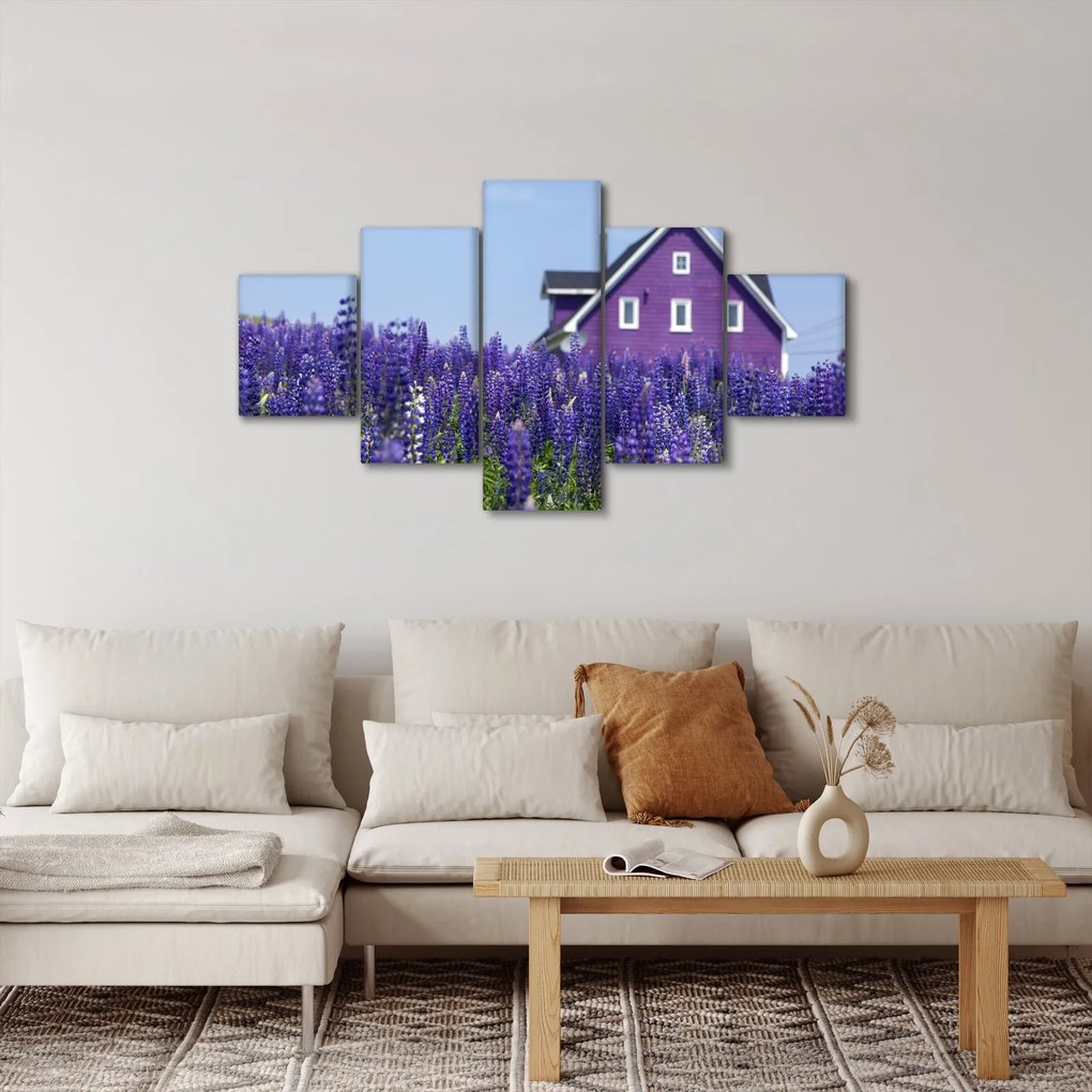 Obraz lawendowego pola (125x70 cm)