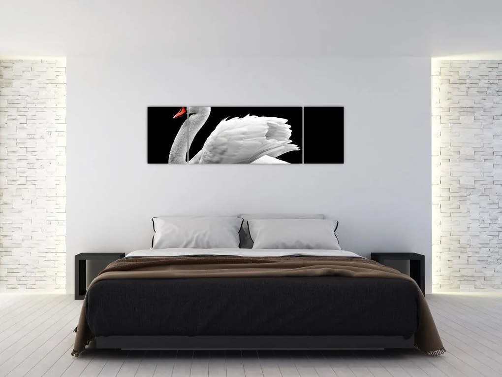 Obraz czarno - białego łabędzia (170x50 cm)