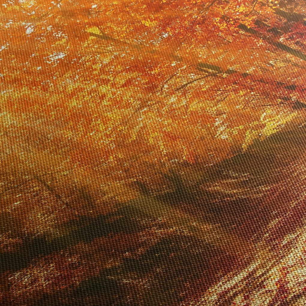 Obraz jesiennego lasu (125x70 cm)