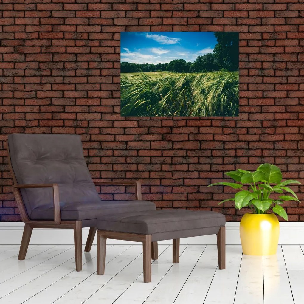Obraz łąki i lasu (70x50 cm)