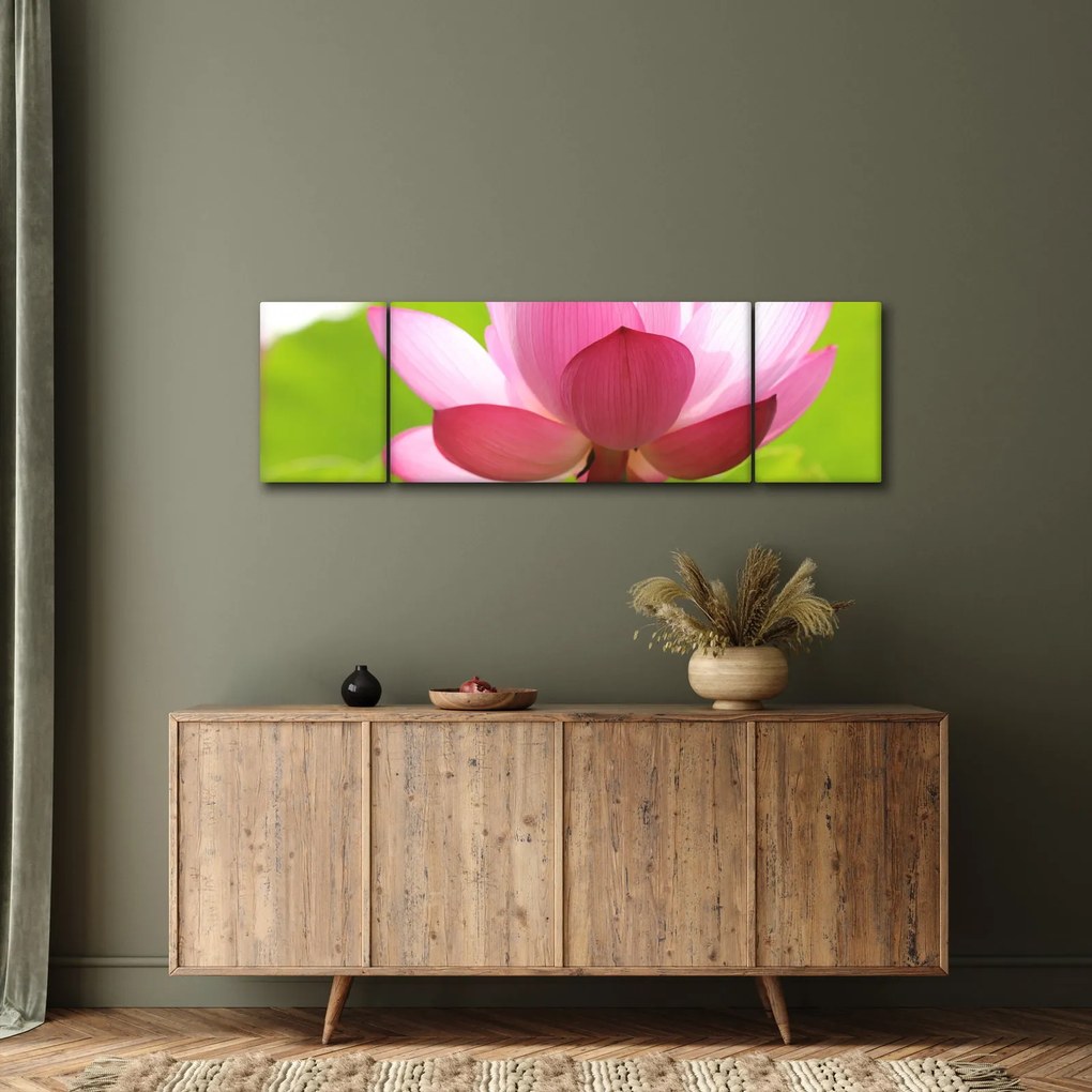 Obraz kwiatu lotosu (170x50 cm)
