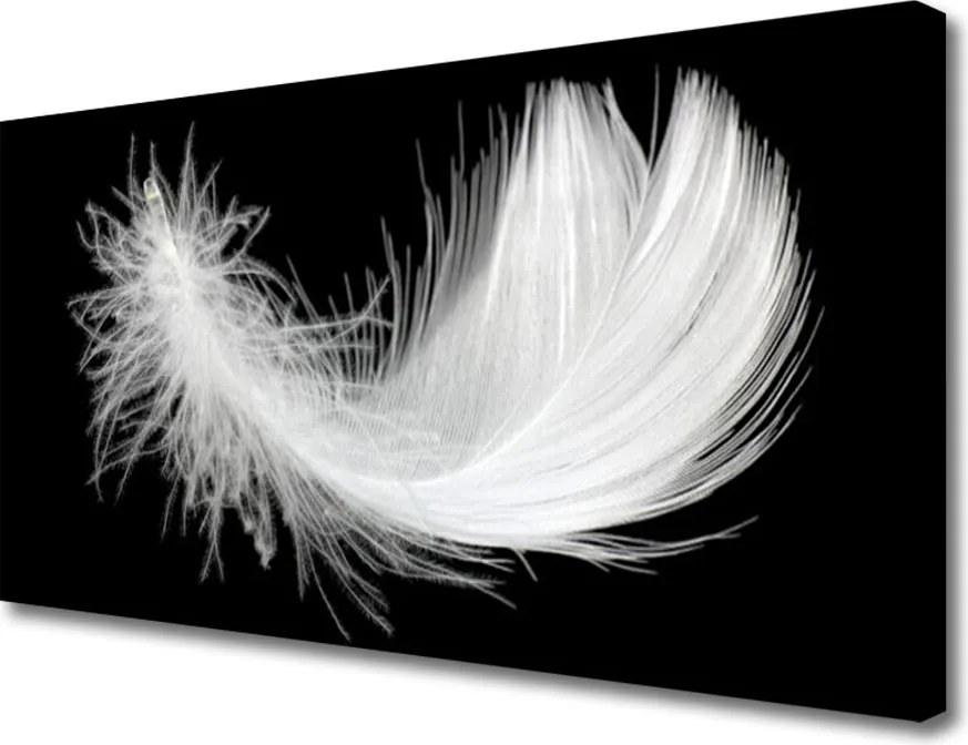 Obraz na płótnie Lekkość Białego Piórka