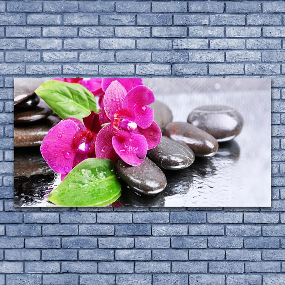 Duży obraz na płótnie Egzotyczny Storczyk w Detalu