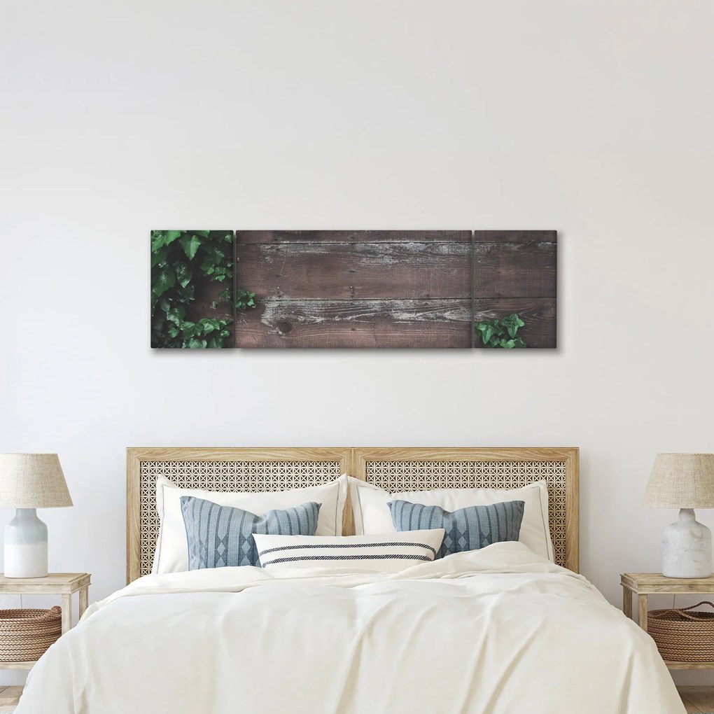Obraz - Bluszcz (170x50 cm)