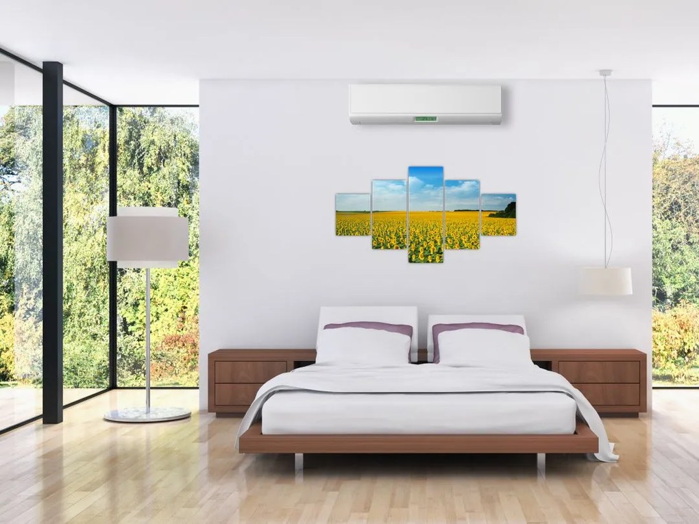 Obraz - ciąg słoneczników (125x70 cm)