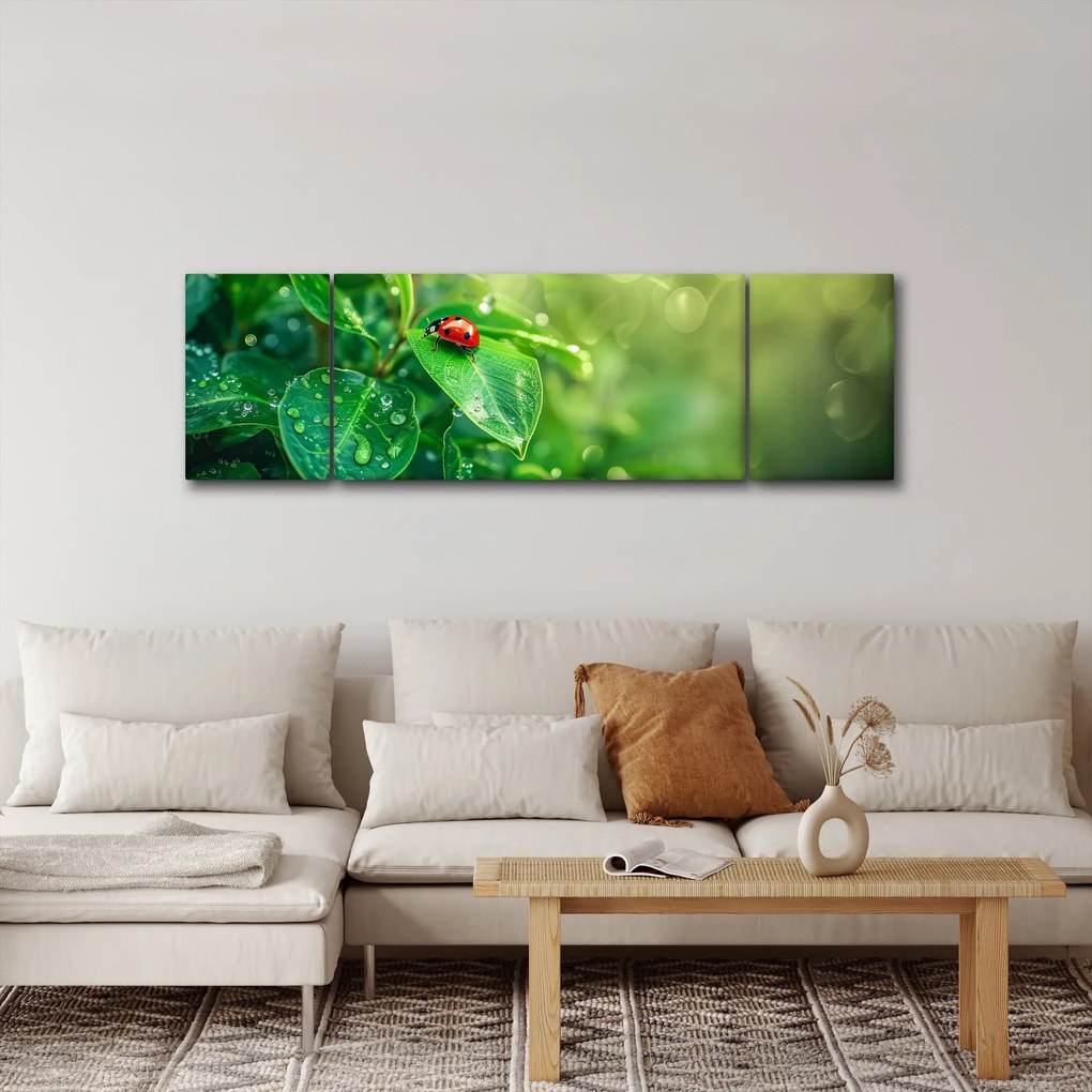 Obraz - Biedronka (170x50 cm)