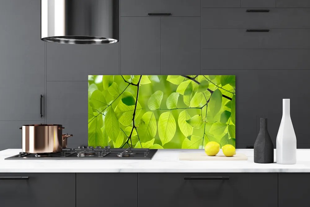 Panel Kuchenny Botaniczny Detal Liści