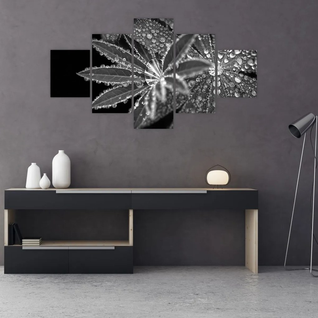 Obraz - Krople (125x70 cm)